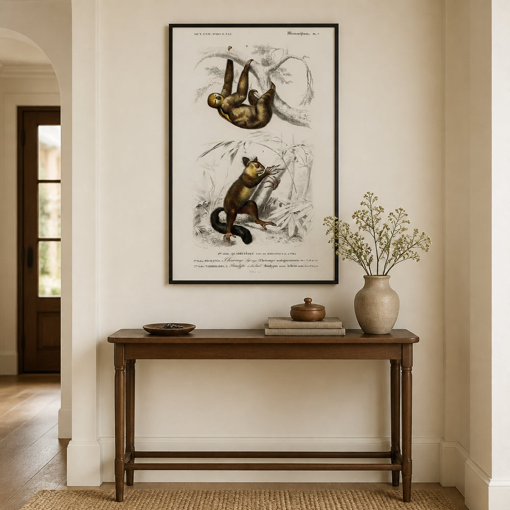 Room mockup featuring Three-toed Sloth and Aye-aye by Charles Dessalines D Orbigny Art Print