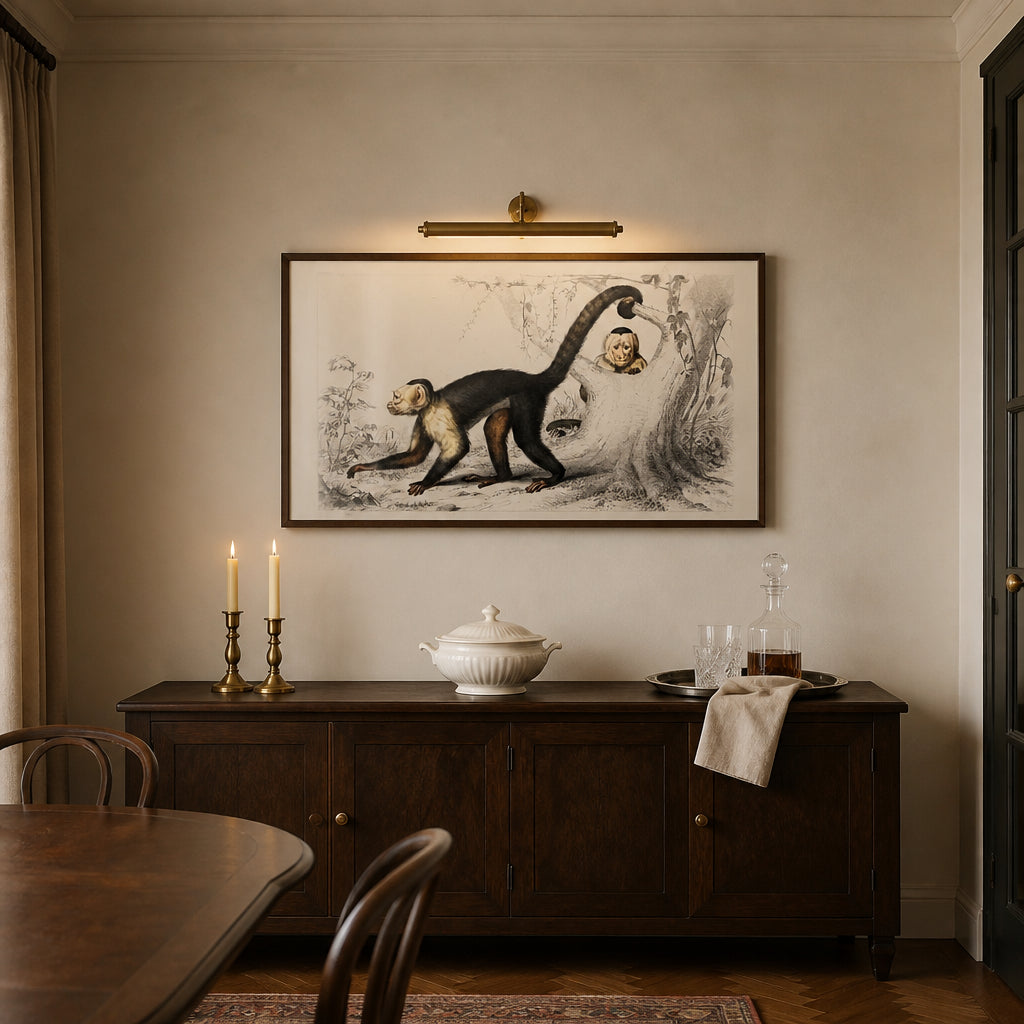 Room mockup featuring White-headed Capuchin by D Orbigny Art Print