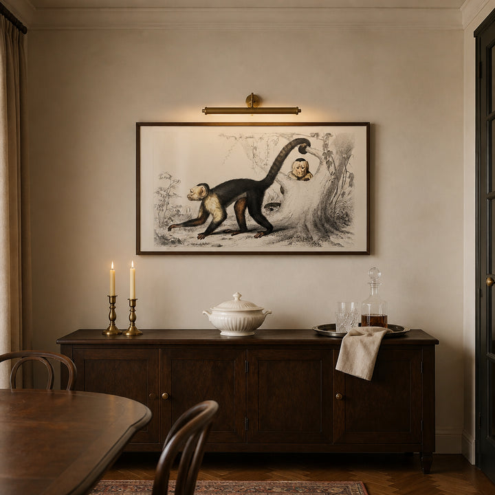 Room mockup featuring White-headed Capuchin by D Orbigny Art Print