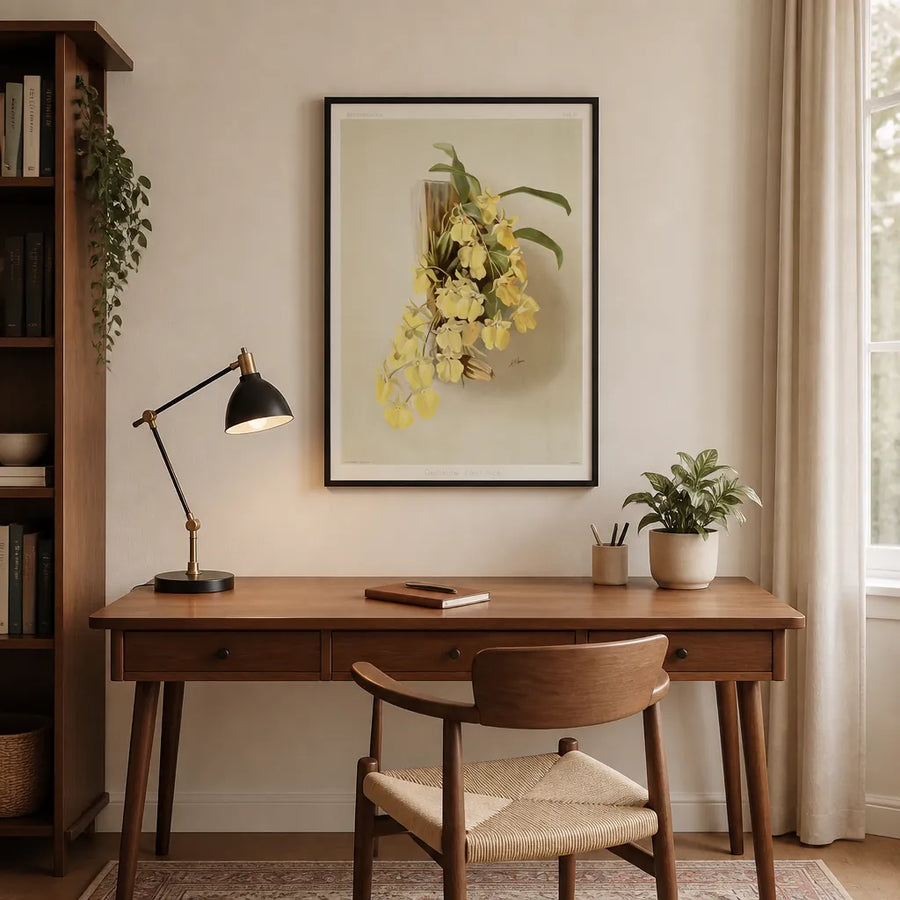 Oncidium Concolor Art Print in a room setting