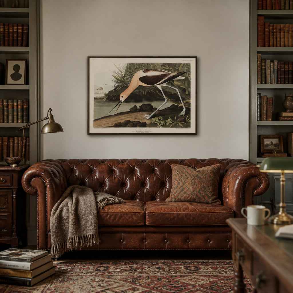 Room mockup featuring American Avocet Art Print