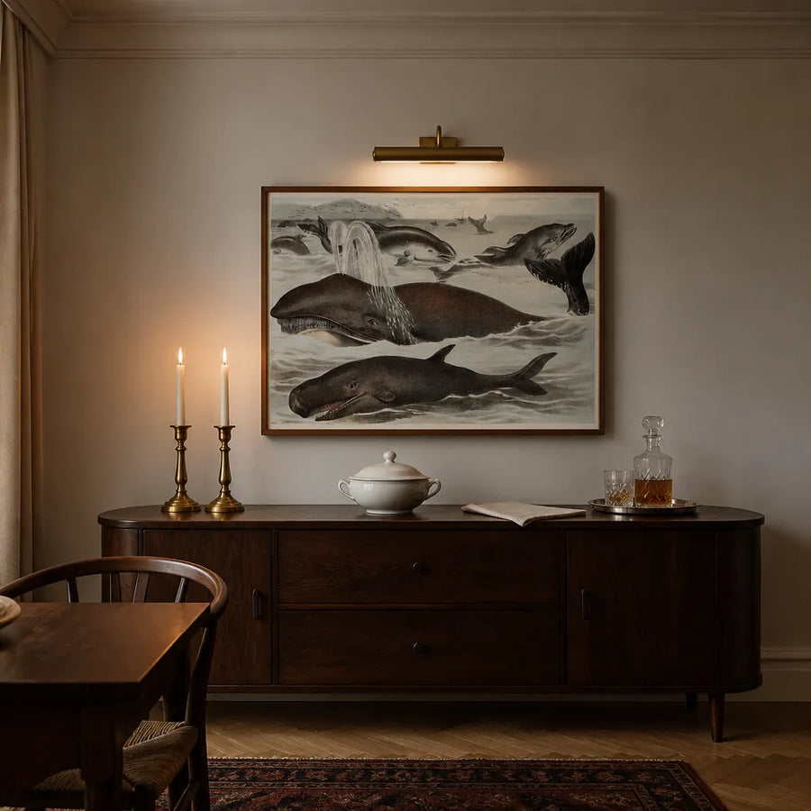 Marine Life Illustration Art Print in a room setting
