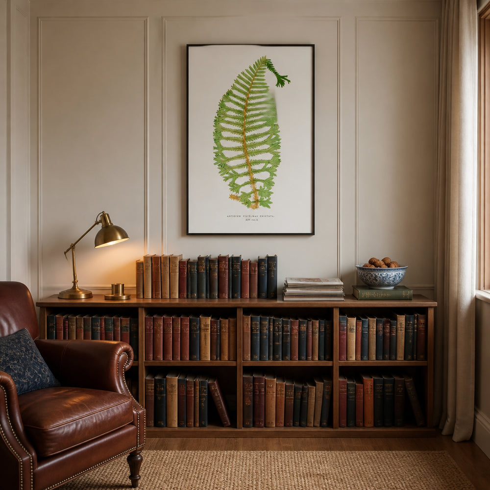 Room mockup featuring Dryopteris Cristata Botanical Art Print