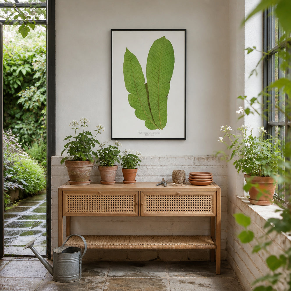 Room mockup featuring Polypodium Musaefolium Botanical Art Print