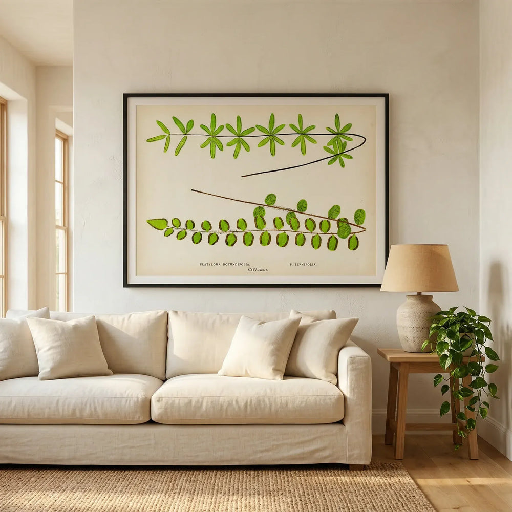 Room mockup featuring Platyloma Botanic Study Art Print