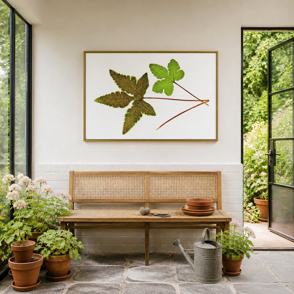 Room mockup featuring Cheilanthes Sieboldoe Botanical Art Print