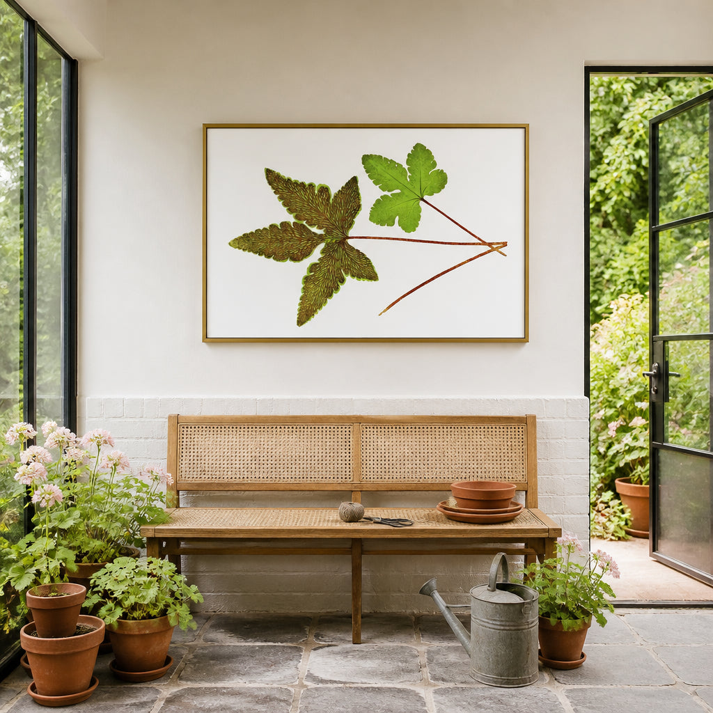 Cheilanthes Sieboldoe Botanical Art Print shown in a styled room