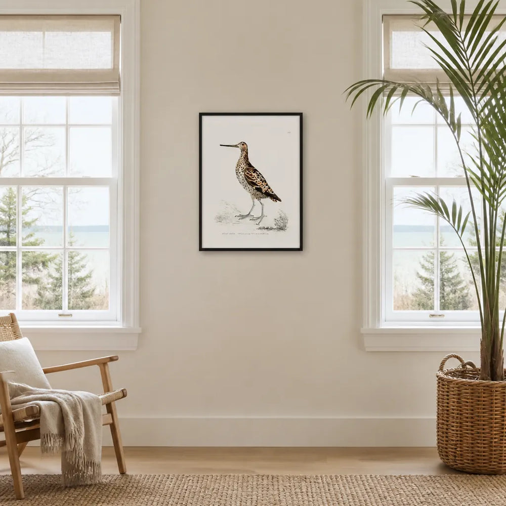 Room mockup featuring Great Snipe Vintage Bird Print