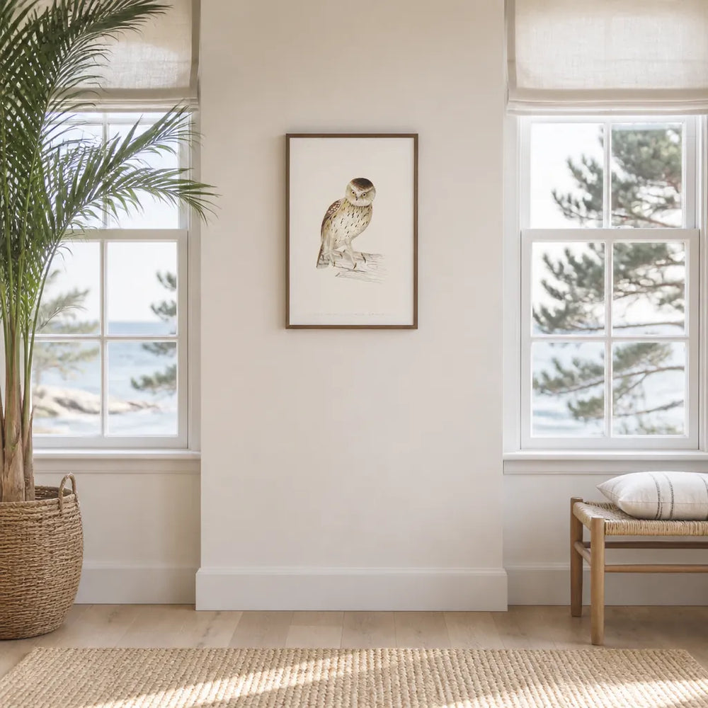 Room mockup featuring Little Owl Vintage Bird Print