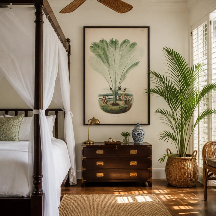 Room mockup featuring Astrocaryum Farinosum by Rodrigues Art Print
