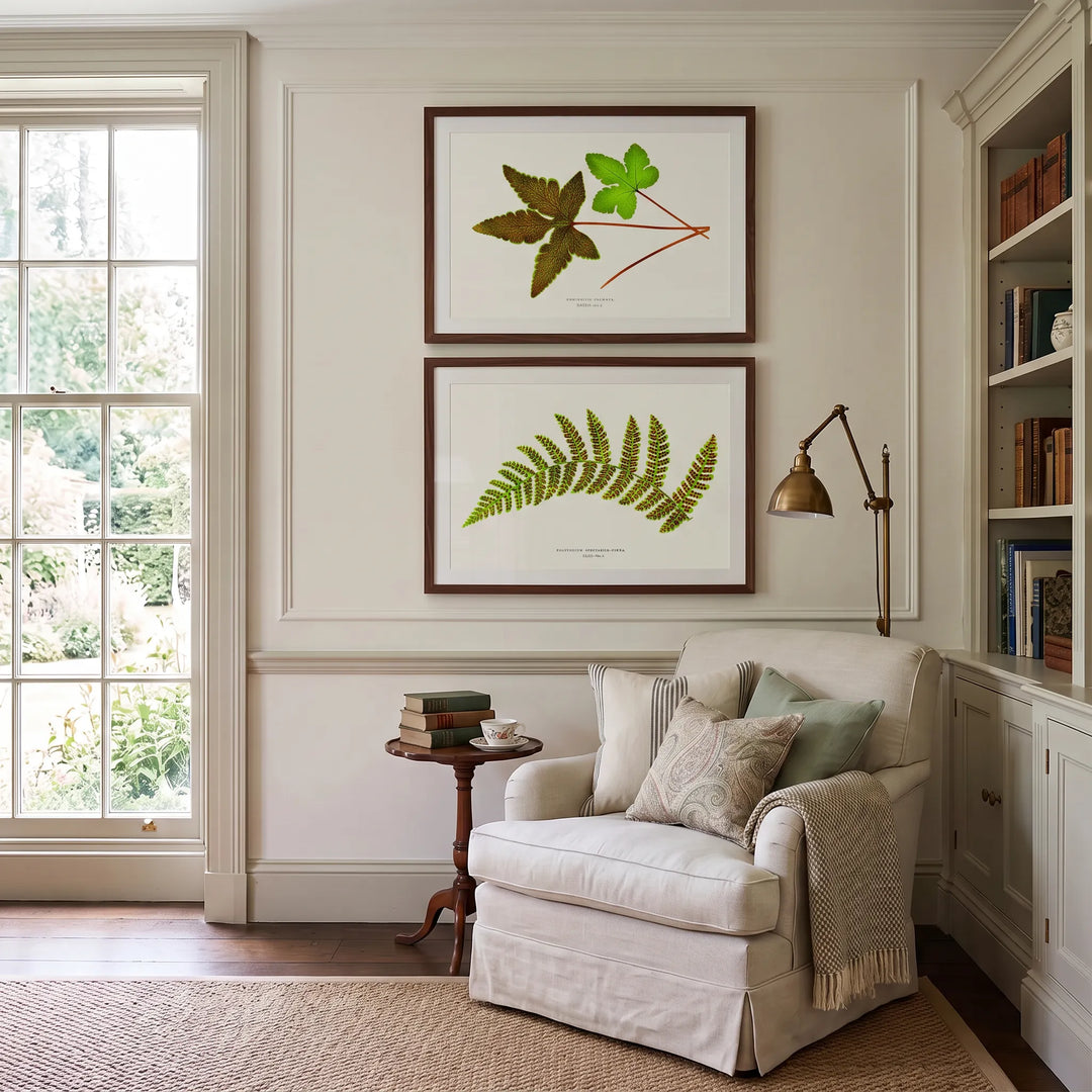 Hemionitis Palmata and Polypodium Spectabile Vintage Fern Pair framed one above the other in a reading nook