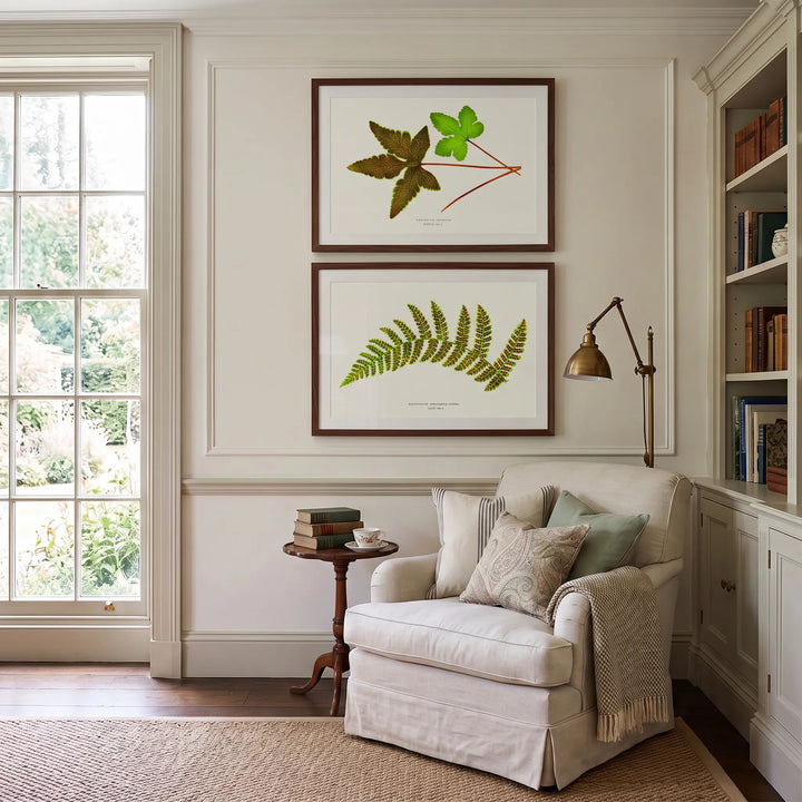 Hemionitis Palmata and Polypodium Spectabile Vintage Fern Pair framed one above the other in a reading nook