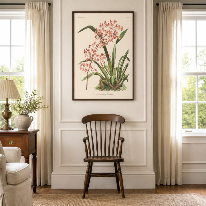 Odontoglossum Orchid Pink Clustered Florets, Arching Leaves framed in a traditional home