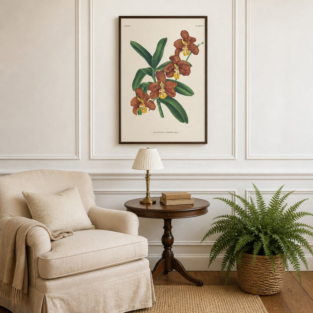 Arachnanthe cathcartii orchid art print framed in a traditional home