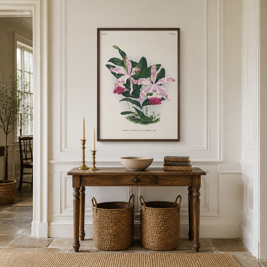 Orchid – Cattleya × calummata Art Print in a room setting