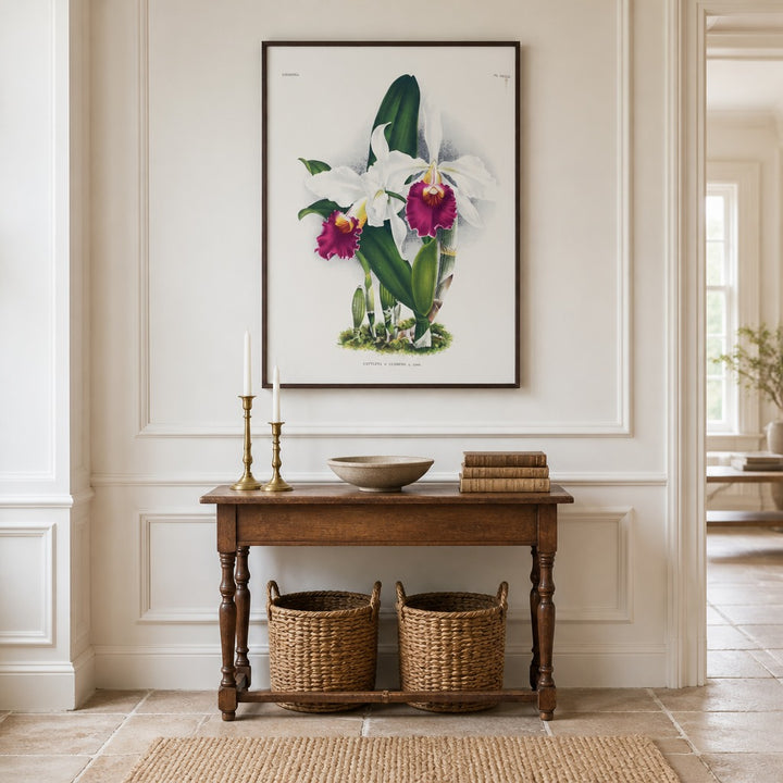 Cattleya × clymene orchid art print framed in a traditional home