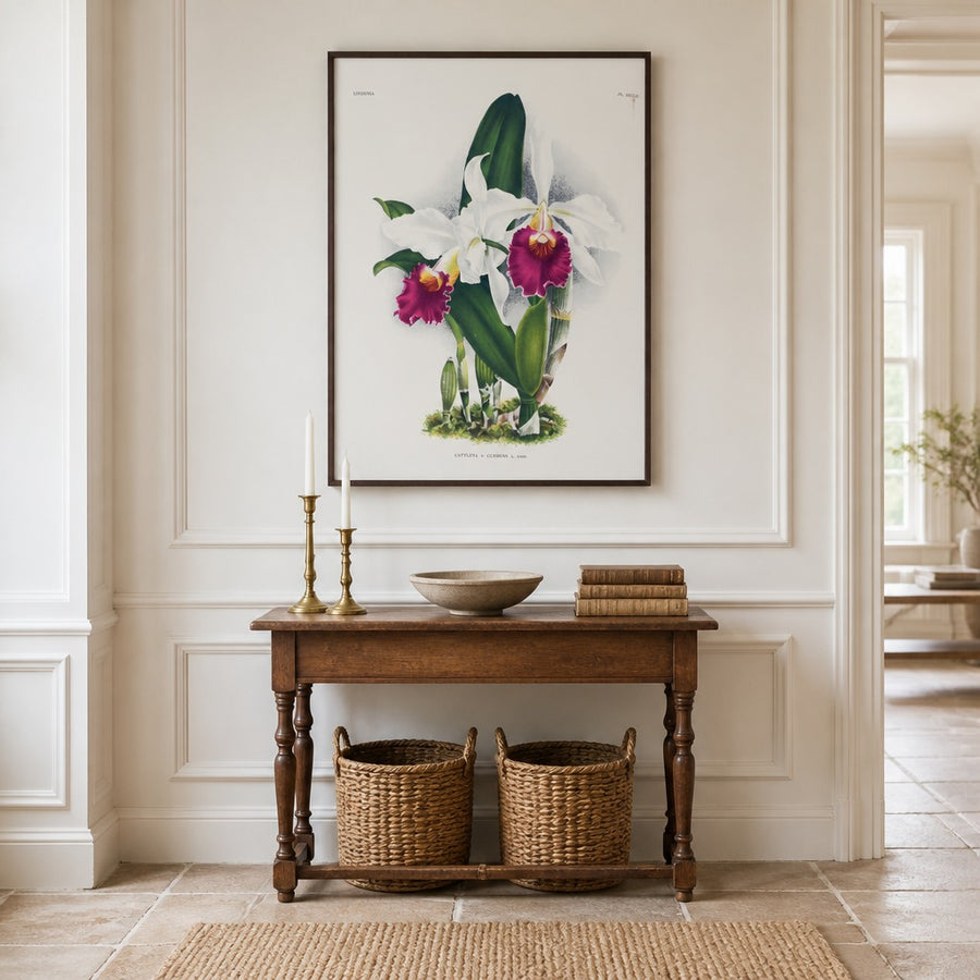Orchid – Cattleya × clymene Art Print in a room setting