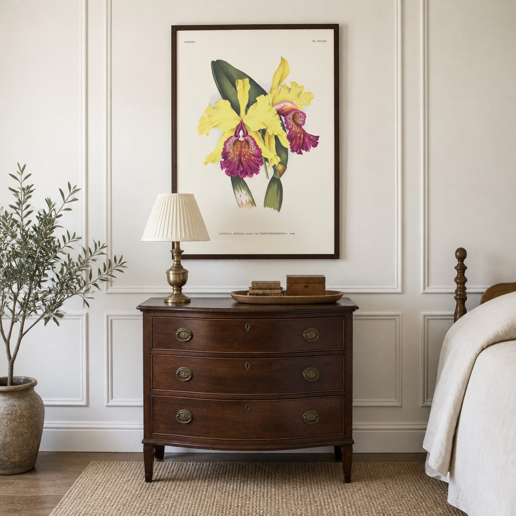 Cattleya dowiana orchid art print framed in a traditional home