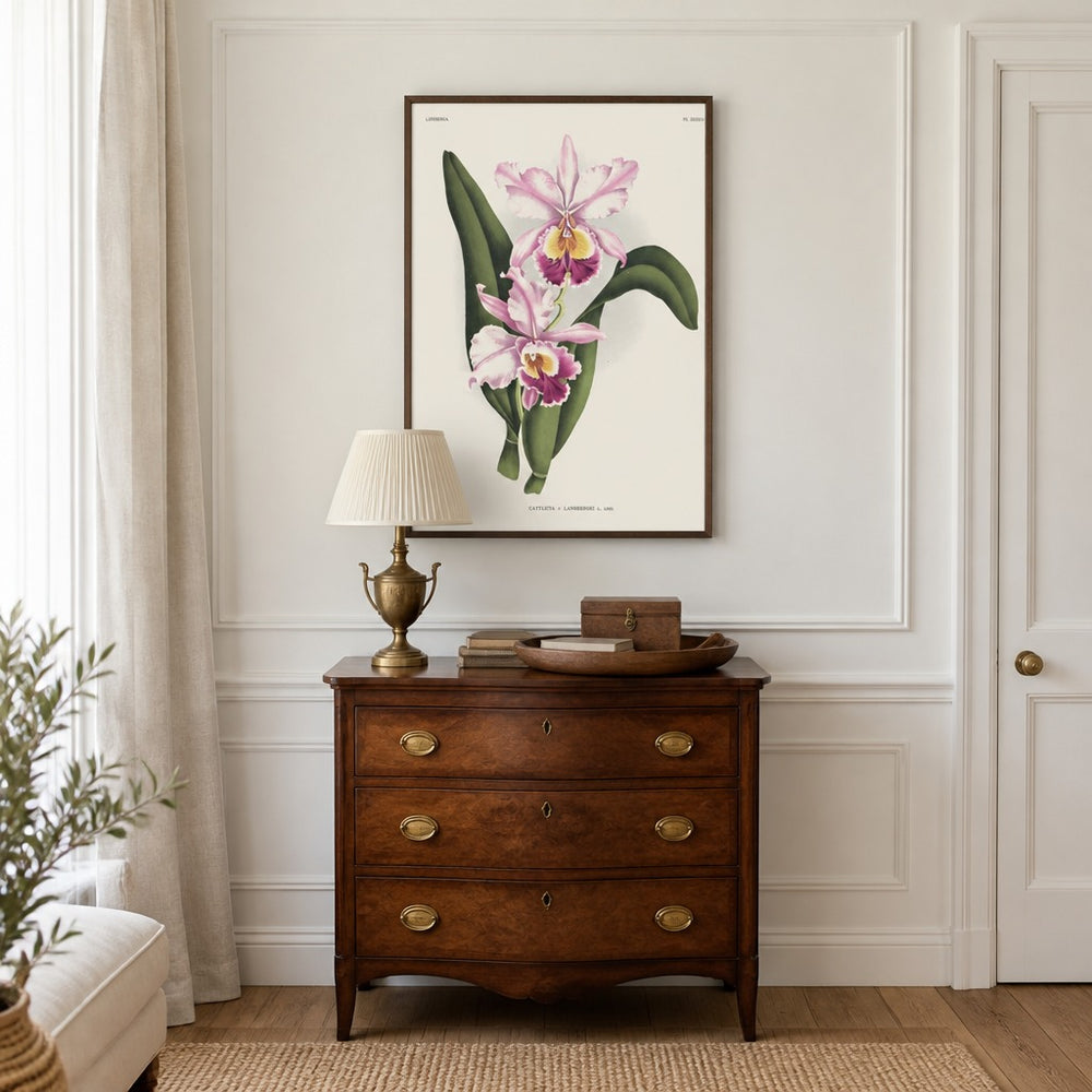 Cattleya × lansbergei orchid art print framed in a traditional home