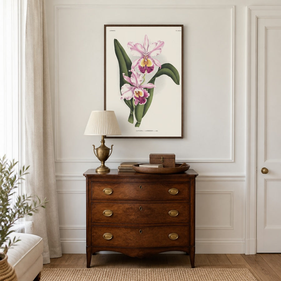 Orchid – Cattleya × lansbergei Art Print in a room setting