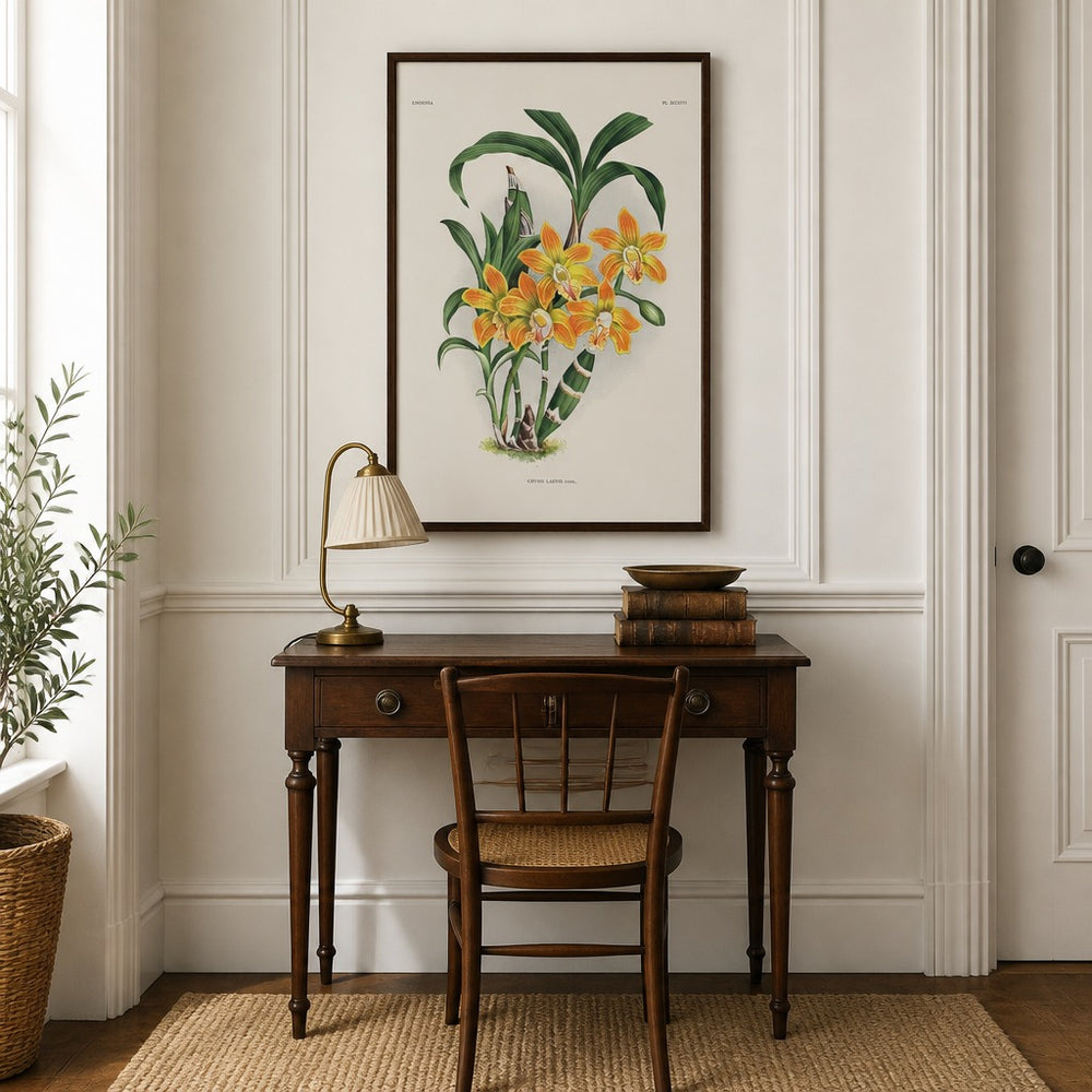 Chysis laevis orchid art print framed in a traditional home