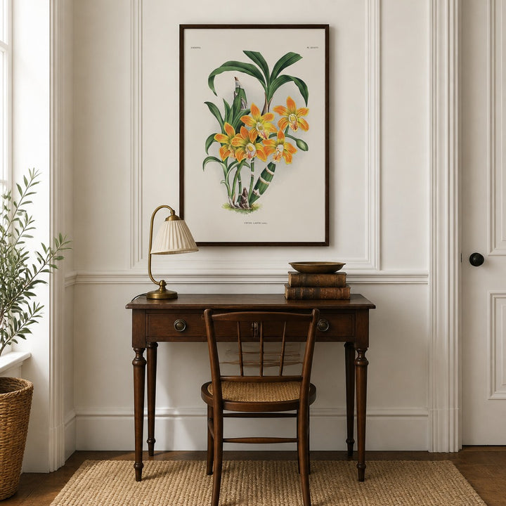 Chysis laevis orchid art print framed in a traditional home