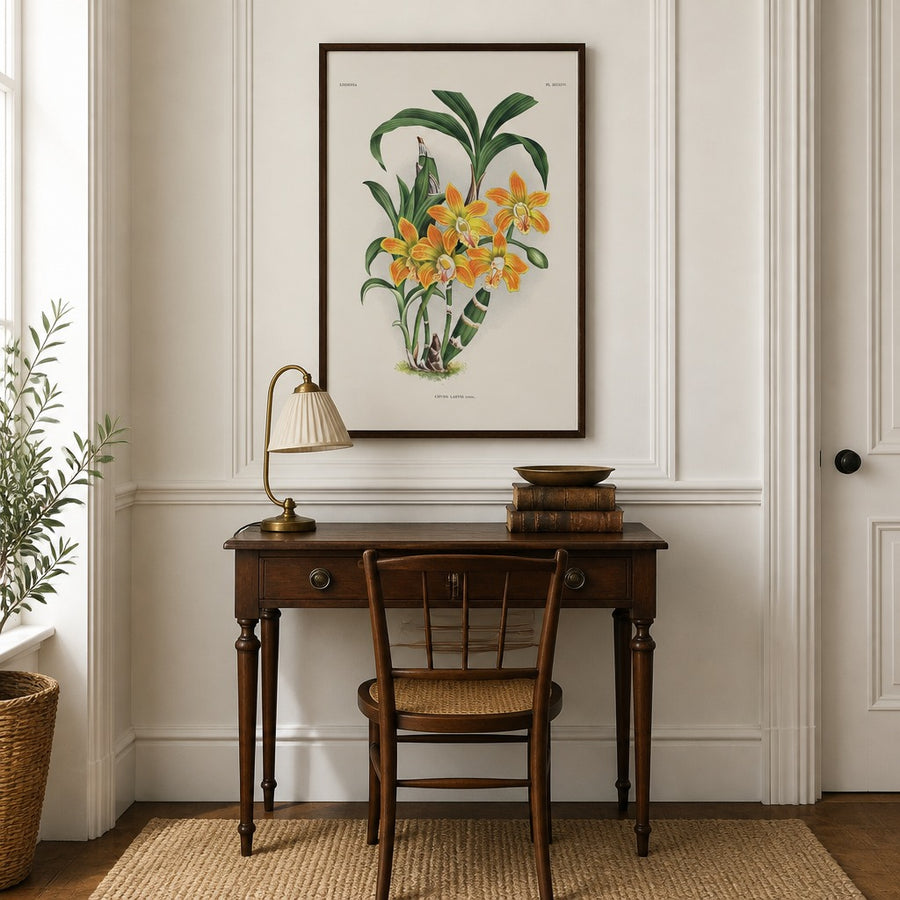 Orchid – Chysis laevis Art Print in a room setting