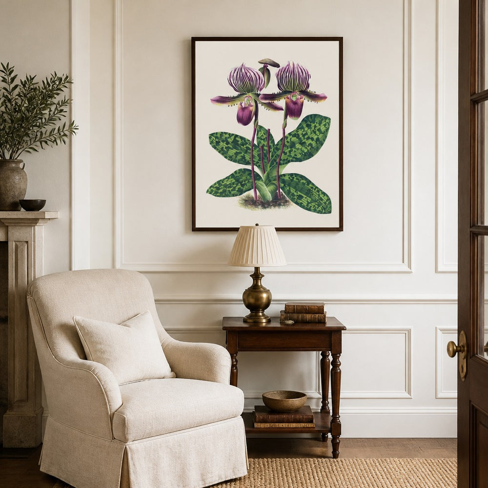 Cypripedium lawrenceanum orchid art print framed in a traditional home
