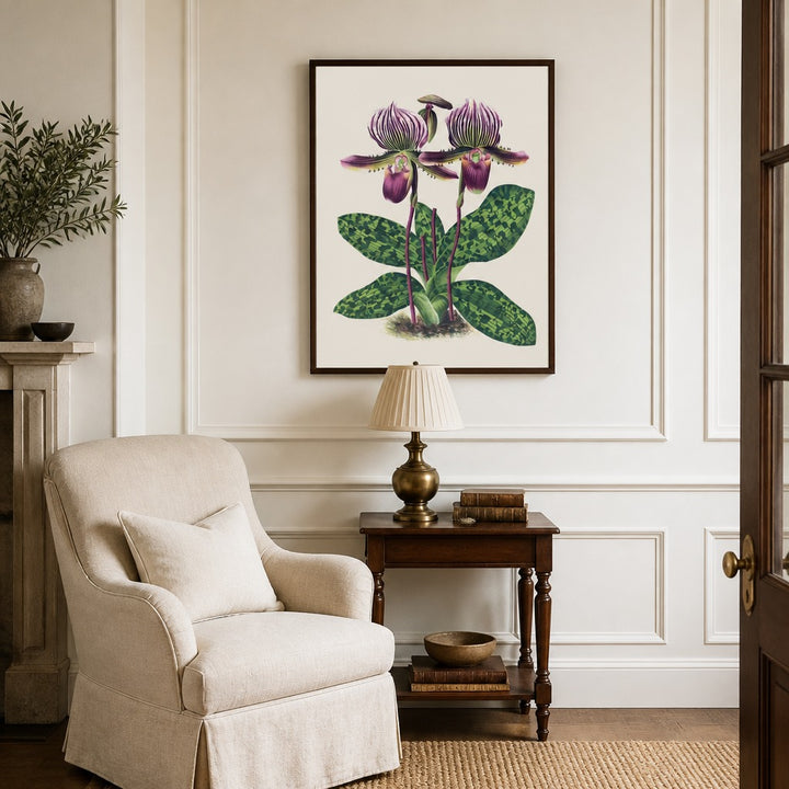 Cypripedium lawrenceanum orchid art print framed in a traditional home
