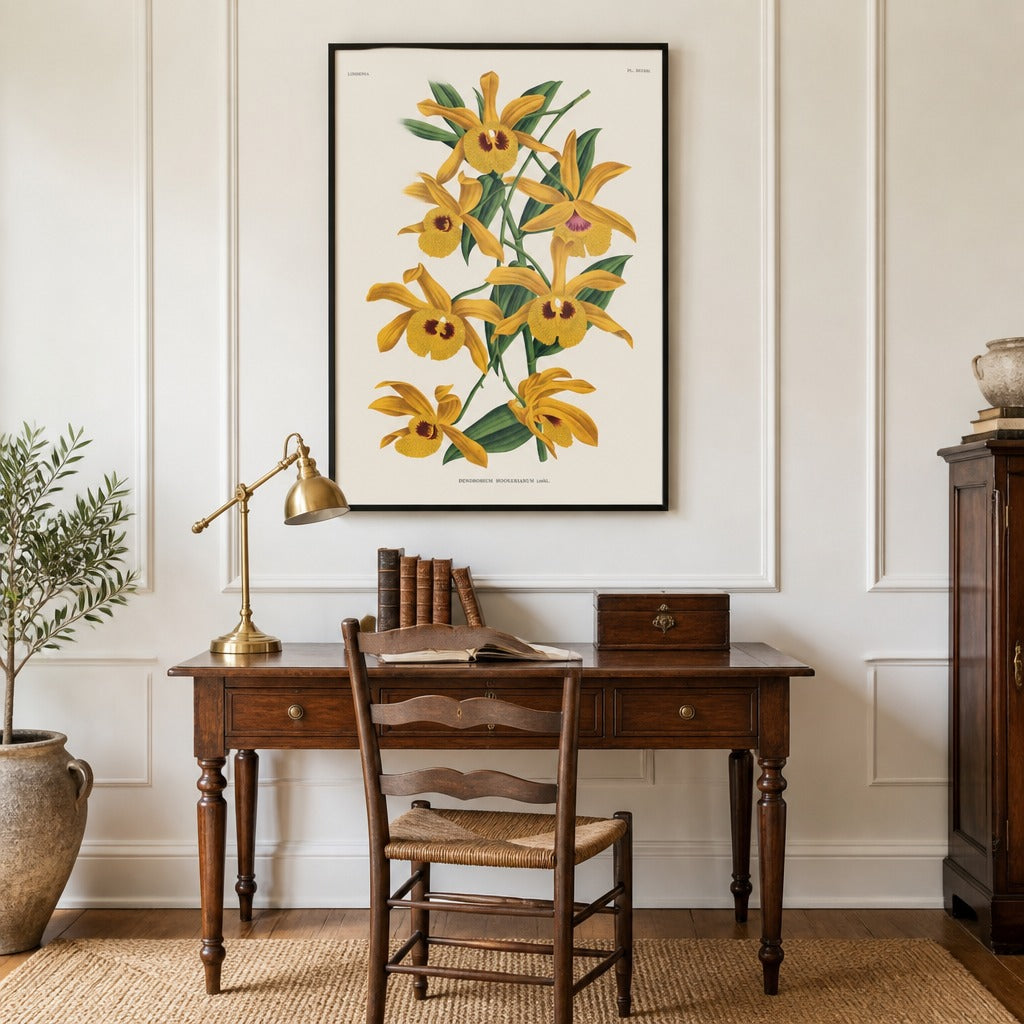 Dendrobium hookerianum orchid art print framed in a traditional home