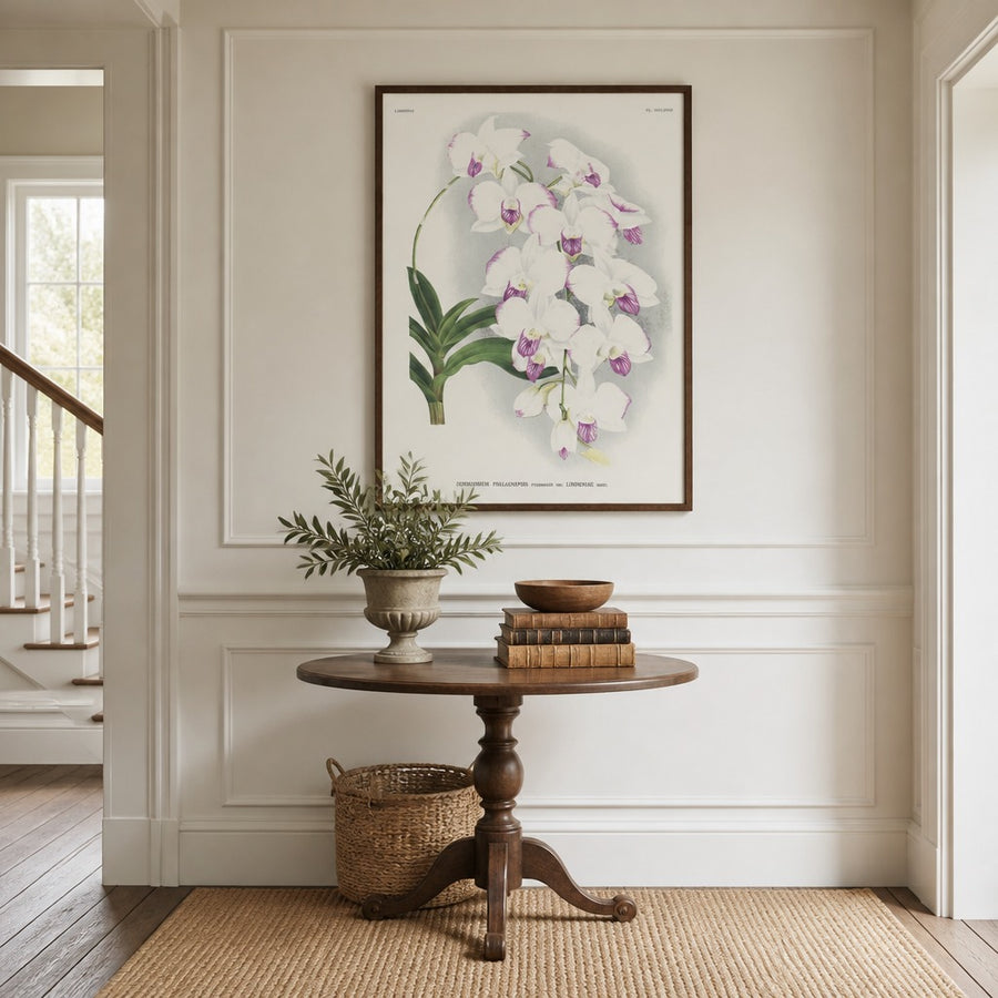 Orchid – Dendrobium phalaenopsis Art Print in a room setting