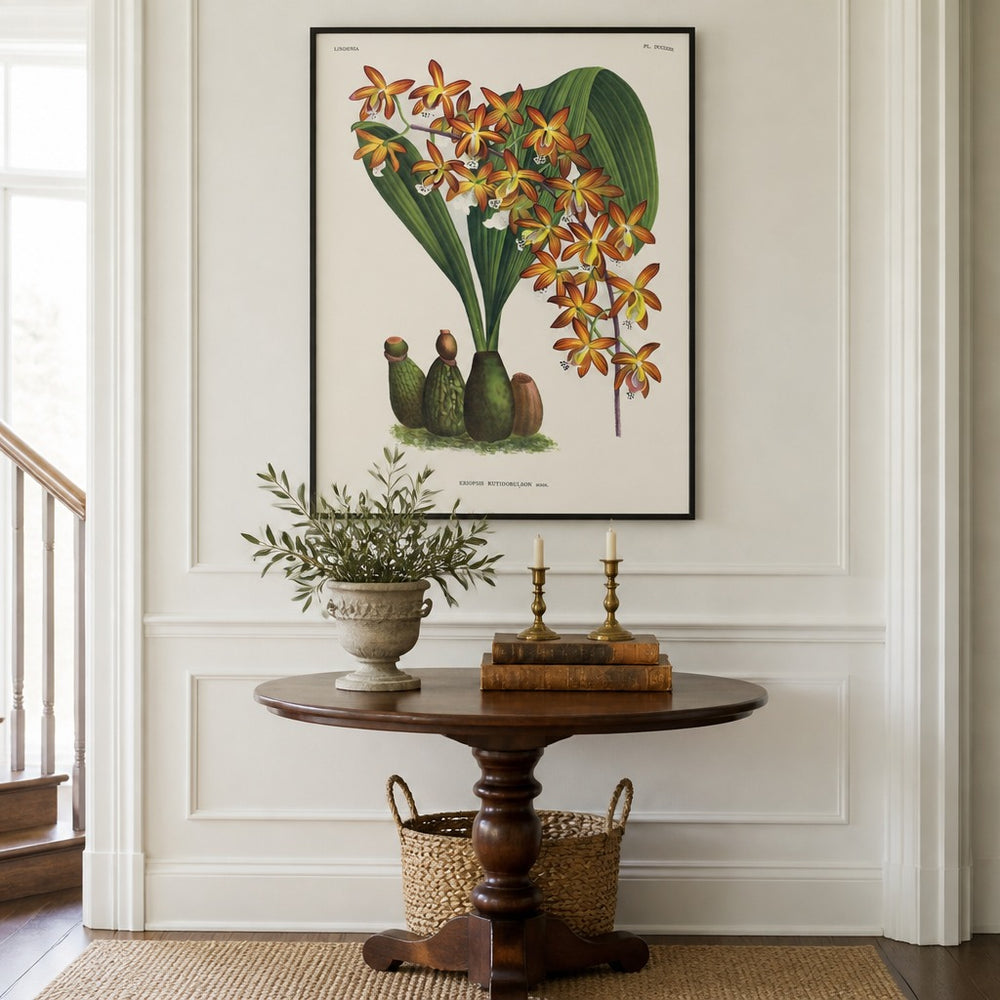 Eriopsis rutidobulbon orchid art print framed in a traditional home
