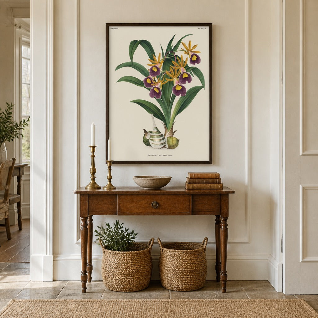 Galeandra batemanii orchid art print framed in a traditional home