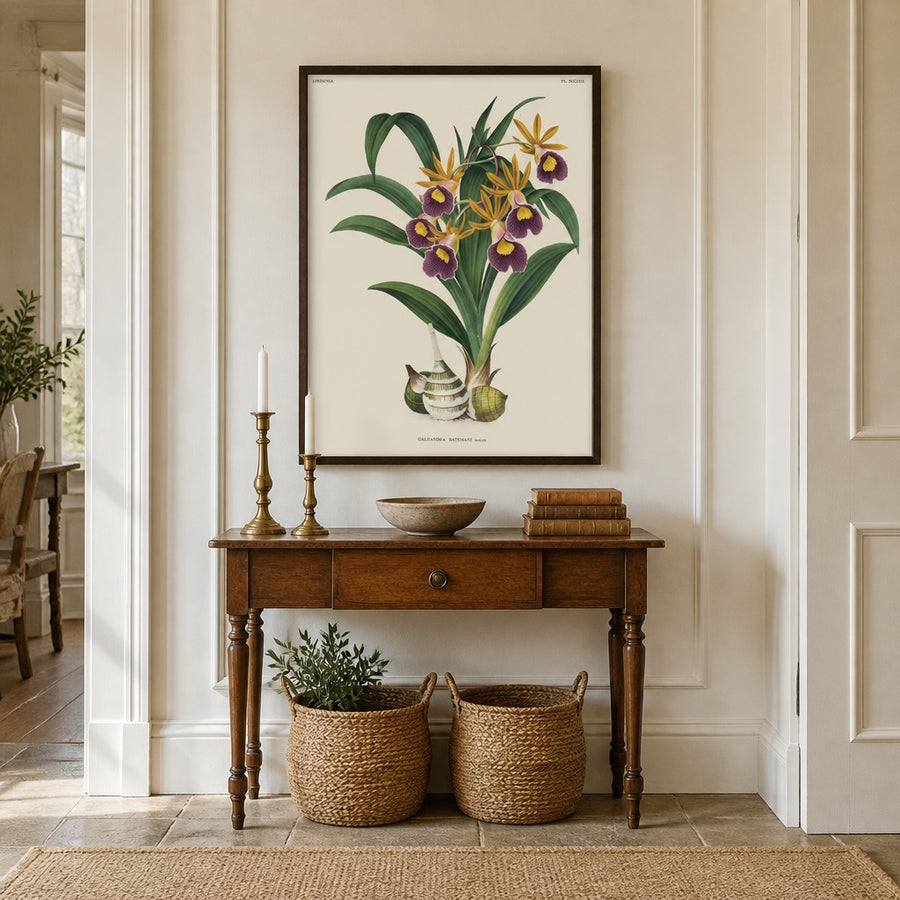 Orchid – Galeandra batemanii Art Print in a room setting