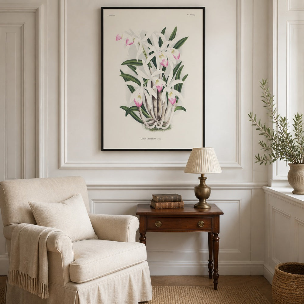 Laelia lindleyana orchid art print framed in a traditional home