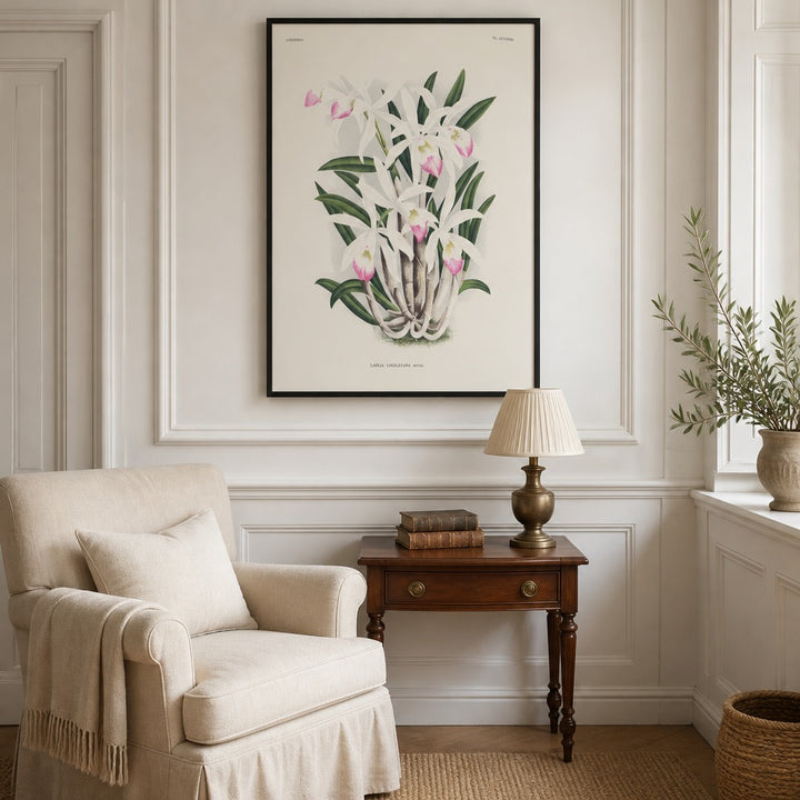 Laelia lindleyana orchid art print framed in a traditional home