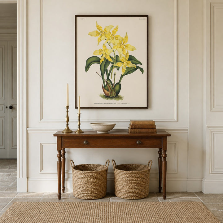 Odontoglossum schlieperianum orchid art print framed in a traditional home