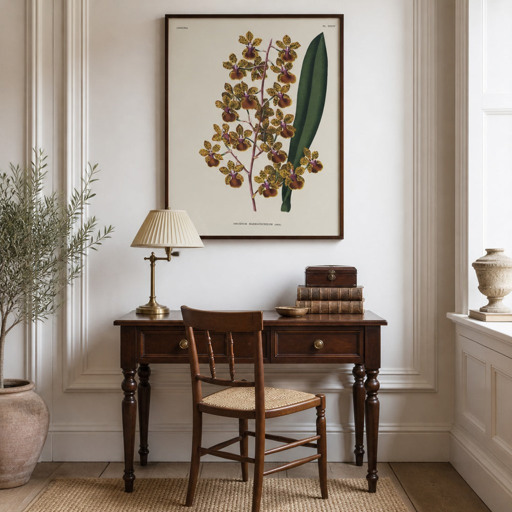 Oncidium haematochilum orchid art print framed in a traditional home