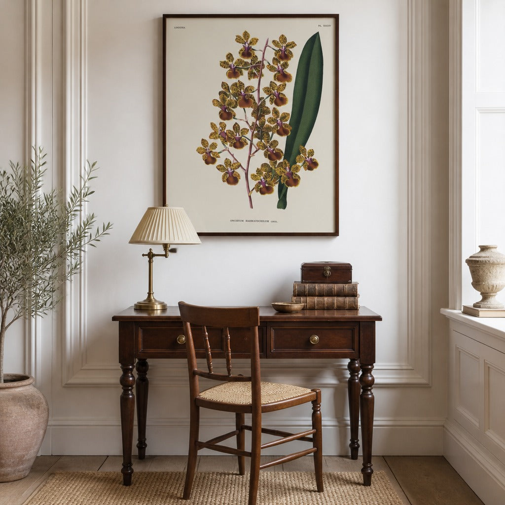 Oncidium haematochilum orchid art print framed in a traditional home