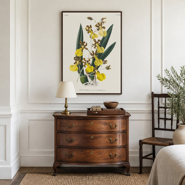 Oncidium tigrinum orchid art print framed in a traditional home