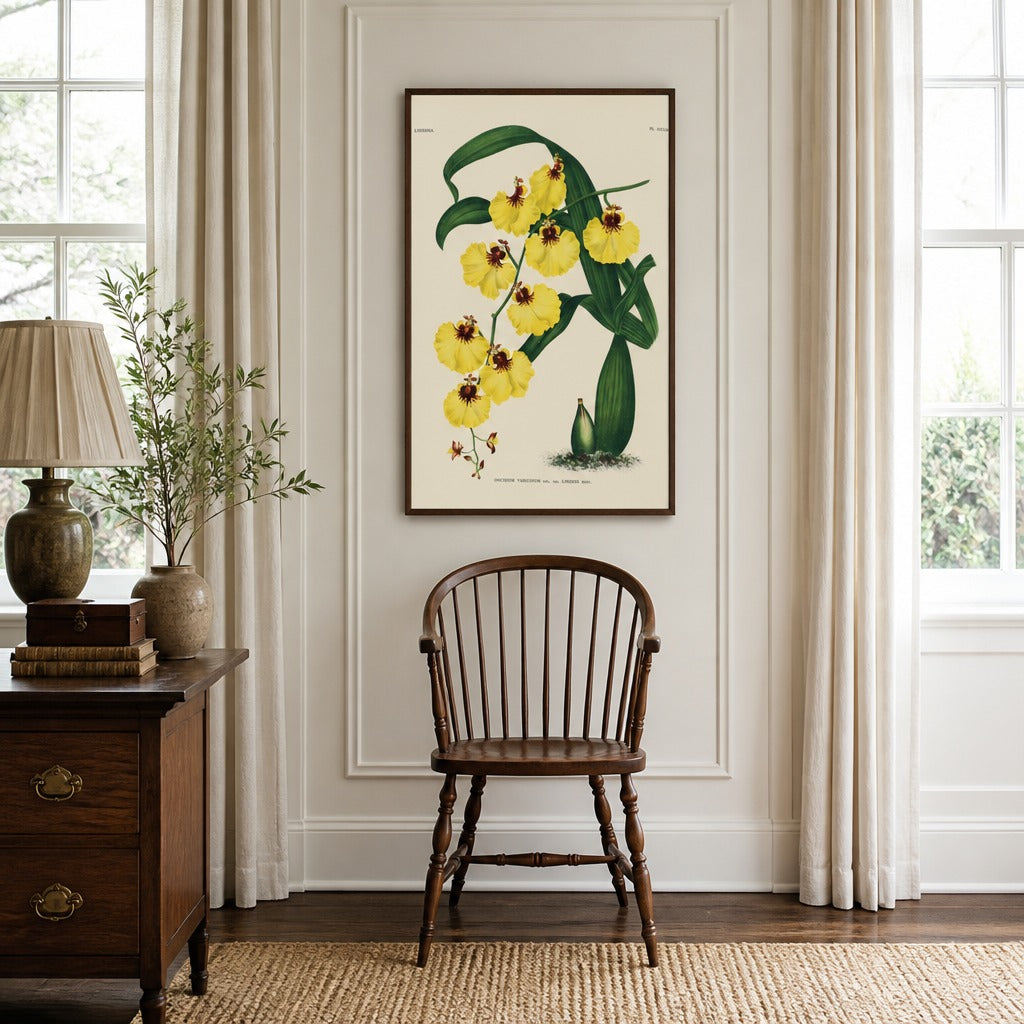 Oncidium varicosum orchid art print framed in a traditional home