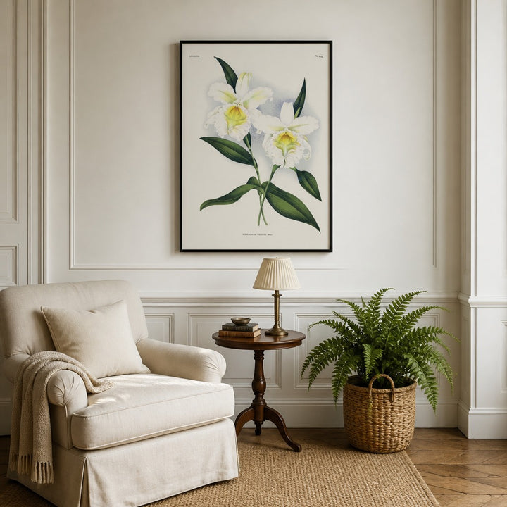 Sobralia × veitchii orchid art print framed in a traditional home