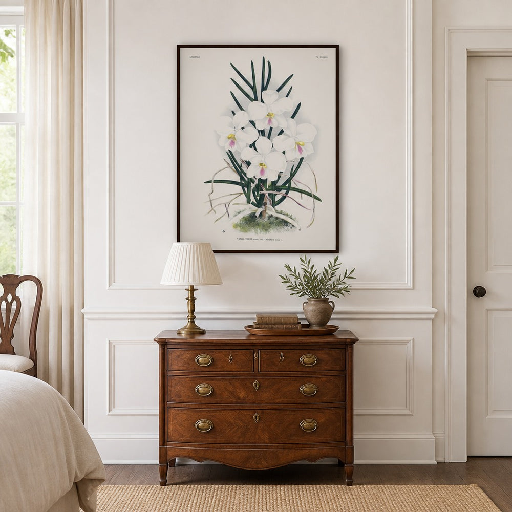 Vanda teres orchid art print framed in a traditional home