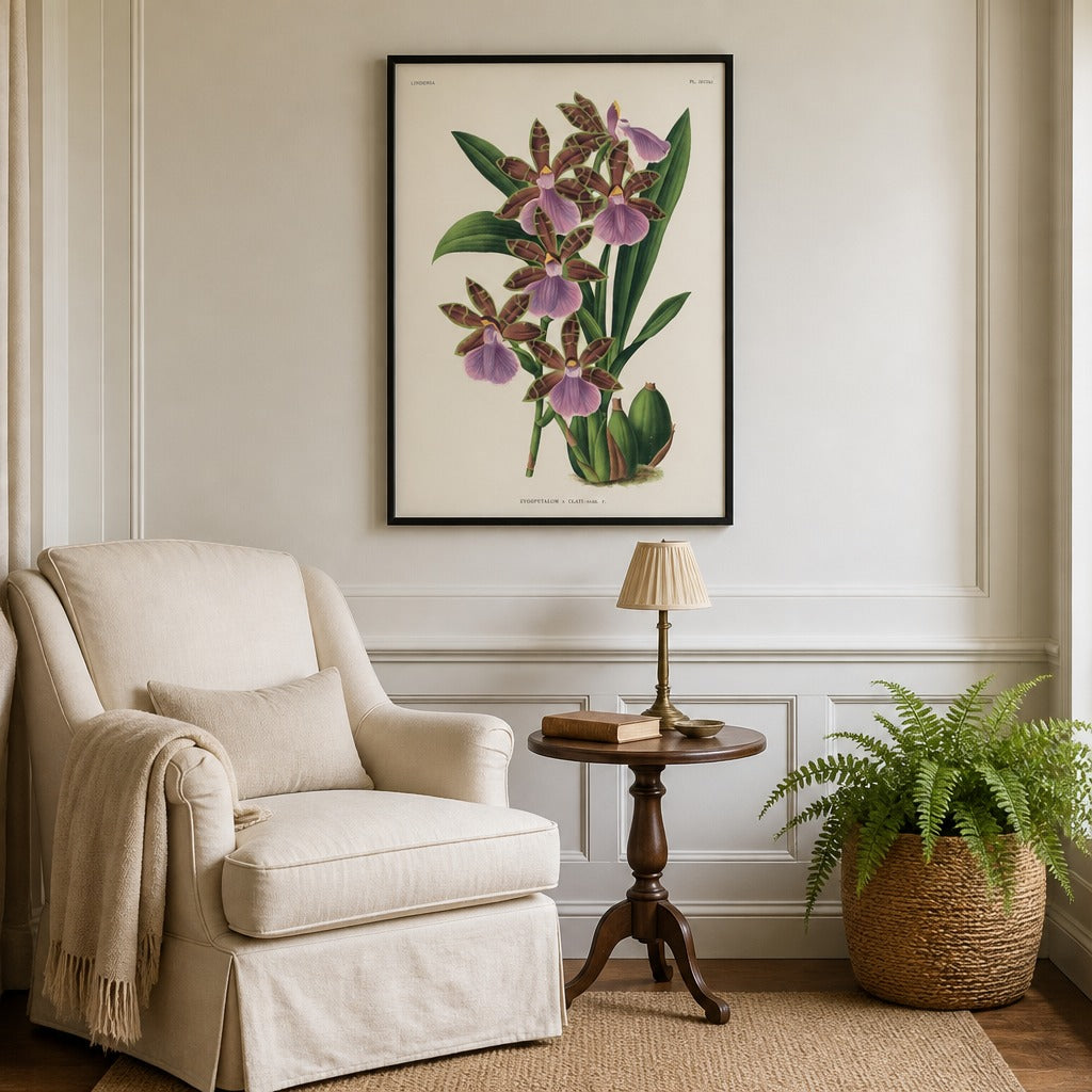 Zygopetalum × clayi orchid art print framed in a traditional home
