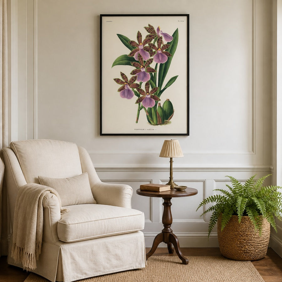 Orchid – Zygopetalum × clayi Art Print in a room setting