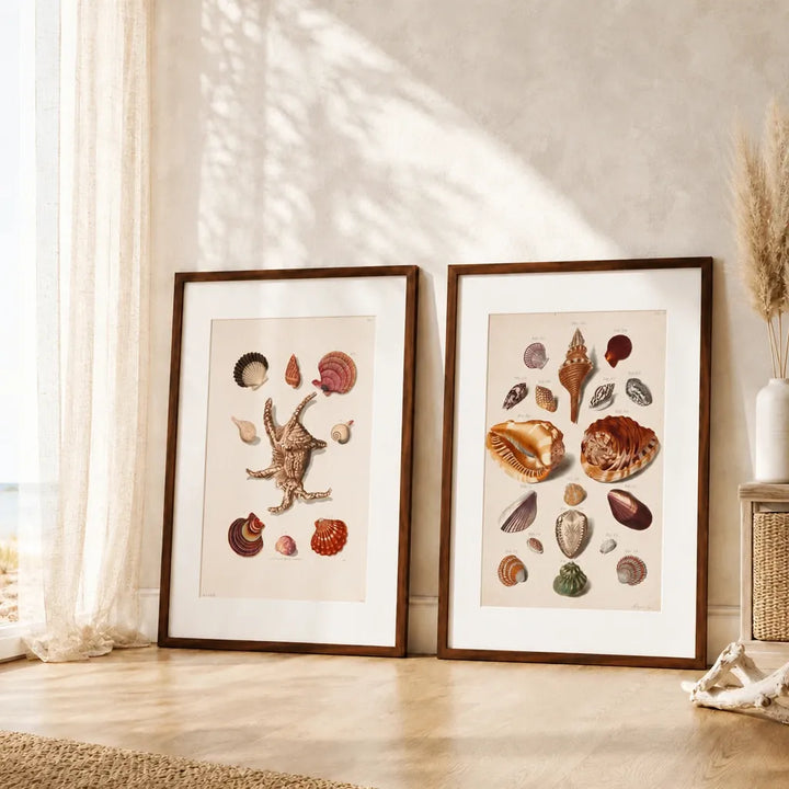Vintage Shell Art Print Pair Set — room mockup