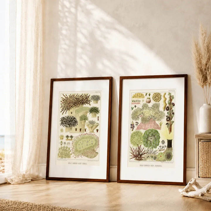 Great Barrier Reef Corals & Anemones Art Print Pair — room mockup