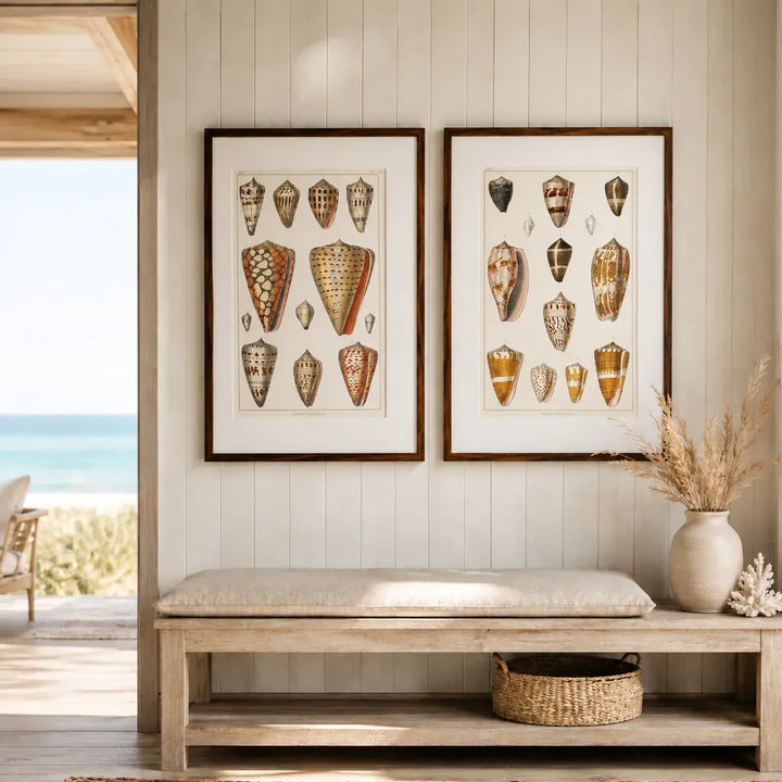 Collection Of Shells Art Print Pair — room mockup