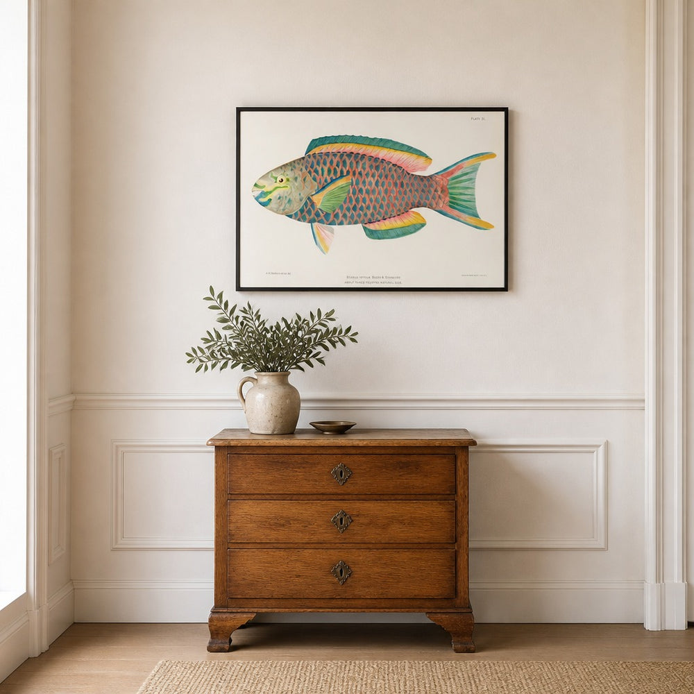 Queen Parrot Tropical Vintage Fish framed in a light country home