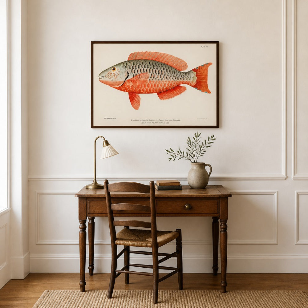 Red Parrot Tropical Vintage Fish framed in a light country home